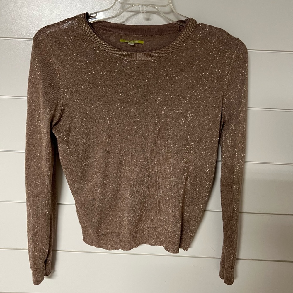 Gianni Bini blush sweater